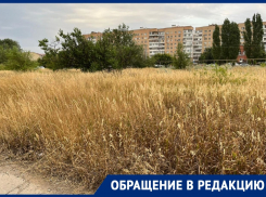 Коммерческий район Волгодонска под угрозой пожара: квартал ВЦ-1 зарос сухой травой