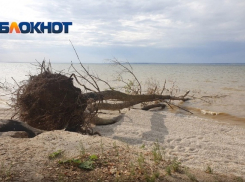 Сброс воды в Дон увеличили, Цимлянское водохранилище стало мелеть быстрее