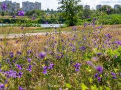 Облачный и ветреный денек будет сегодня в Волгодонске 