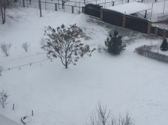 Снег и ветер принесла с собой весна в Волгодонск