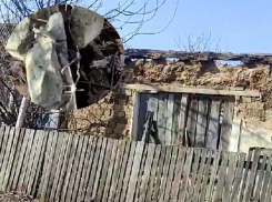 «Даже в стенах была колючая проволока»: волгодонец показал развалины сталинской милиции и суда среди дач