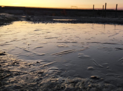 Падение деревьев и ледообразование: волгодонцев предупредили об ухудшении погодных условий