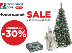 Сказка уже близко: скидки* на новогодний декор ждут волгодонцев в «Любимый Дом family**»