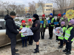 Дети Волгодонска попросили водителей не беспредельничать на переходах