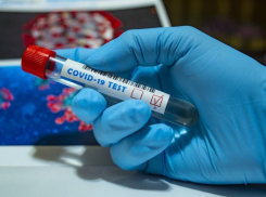 В Волгодонске выявили новых больных коронавирусом горожан
