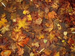 Сегодня в Волгодонске будет холодно и пасмурно 