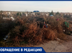 Кладбище №2 в Волгодонске превращается в мусорную свалку 