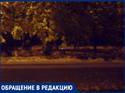 «В кромешной темноте у лицея Политэк» страшно ходить»: волгодончанка