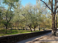 До +28 и свежий ветер: О погоде на 4 сентября 