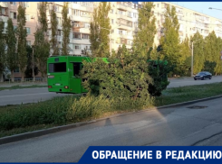 «Она же едет»: заплатить за двухлетнюю дочь потребовали у волгодончанки в автобусе 