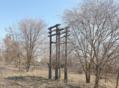 Лесополосами в окрестностях Волгодонска займется новое ведомство 
