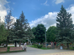 До +26 градусов прогреется воздух в Волгодонске сегодня 