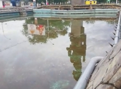 «Не фонтан, а болото с лягушками»: волгодонцы возмущены состоянием фонтана на Комсомольской площади 