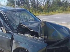 «На скорости въехал в столб»: два человека пострадали в ДТП под Волгодонском 