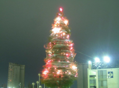 До появления новогодних елок в Волгодонске осталось 29 дней