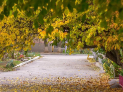 По ощущениям +2: холодный и пасмурный вторник ждет Волгодонск