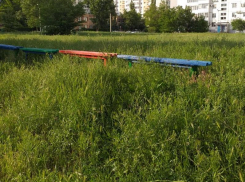 Траву в новой части Волгодонска перестали косить после «оскудения» подрядчиков 