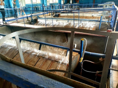 Грозит ли волгодонцам нехватка воды из-за аномальной жары