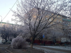 Морозно и ветрено будет сегодня в Волгодонске