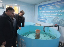 Губернатор поручил развивать водные биоресурсы в бассейне Азовского моря