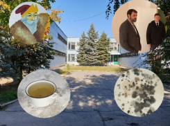 Солярный Дед Мороз, грибок, трещины и кастрюли с водой: что увидели депутаты внутри бывшего ДСиГХ в В-8