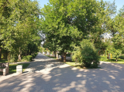 Подростков на электросамокатах будут ловить в Волгодонске