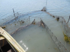 Еще на одного пенсионера возбудили уголовное дело в Волгодонске за браконьерство