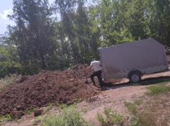 Волгодонцы сфотографировали номера машины, на которой привезли мусор в дендрарий