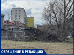 «Как уныло выглядит город!»: неубранный Волгодонск  вгоняет женщину в тоску