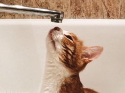 Без горячей воды остались сразу три микрорайона в новой части Волгодонска