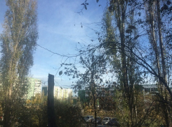 Волгодонцы смогут насладиться солнечным выходным днем