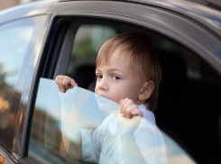 «Ребенок – пассажир»: ГИБДД повели спецмероприятие из-за роста тяжелых ДТП с участием несовершеннолетних 