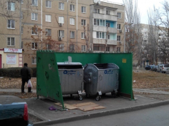 В Волгодонске в мусорном баке найдены фрагменты женского тела