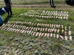 ФСБ присмотрелась к браконьерам на Цимлянском водохранилище