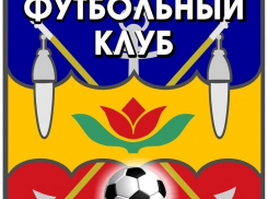 ФК «Волгодонск» оделся в цвета «Динамо»