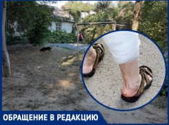 Бездомная собака укусила пенсионерку в Волгодонске в районе старого рынка