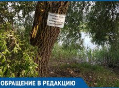 В садоводстве «Мичуринец» нашли способ борьбы с мусором