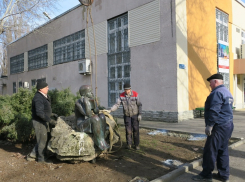 «Девушка с книгой» переехала к Центральной библиотеке Волгодонска 
