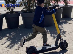 Электросамокат VS Пешеход: депутаты Волгодонска ищут соломоново решение 