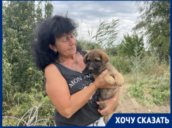 «Щенка спасли, а дети могут погибнуть!»: горожане просят огородить опасный колодец у дороги на старый пляж В-9