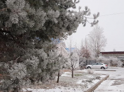 Легкий туман и мороз ожидается в Волгодонске во вторник