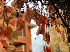 Сильный дождь и ветер ожидаются в Волгодонске сегодня