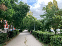 Ветер до 11 м/с ожидается в Волгодонске сегодня 