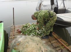 В рамках операции «Путина-2018» на рынках Волгодонска проверят всех торговцев рыбы и раков