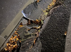 Ремонт злополучного тротуара в Красном Яру затянется на целый год