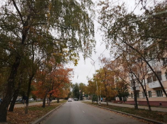 До +11 градусов прогреется температура воздуха в эту пятницу