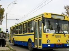 Дачных автобусов станет меньше и ходить они будут реже