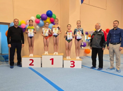 Областной турнир по спортивной гимнастике состоялся в Волгодонске
