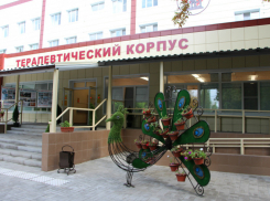 Больница №1 в Волгодонске получит крупную партию аппаратов искусственной вентиляции легких