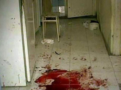 Волгодонец «раскодировался» и убил жену, нанеся ей 15 ножевых ранений